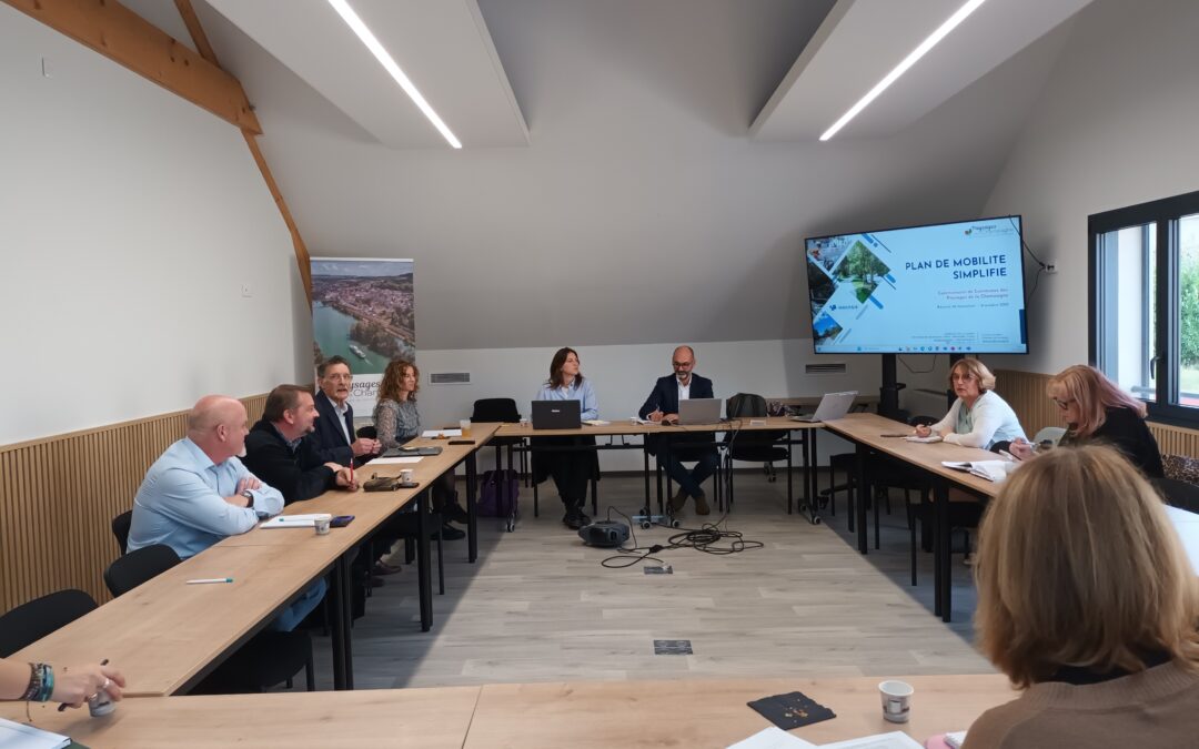 Premier Comité de Pilotage pour le Plan de Mobi...